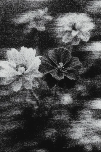 Analog Glitch Noir style reference image — lo-fi noir