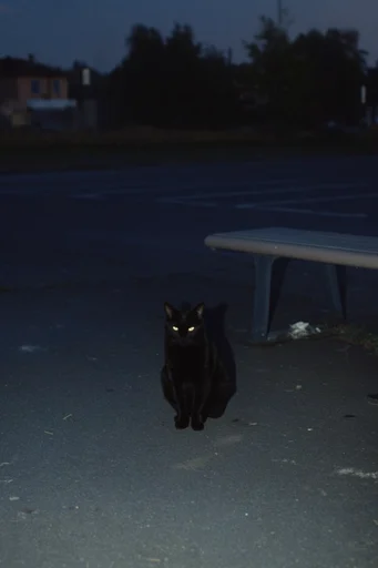 Cinematic Nocturnal Liminality style reference image — harsh direct flash