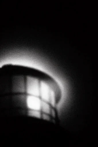 Luminous Noir Abstraction style reference image — visceral organic texture