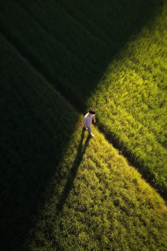 Biophilic Aerial Surrealism style AI image example 2