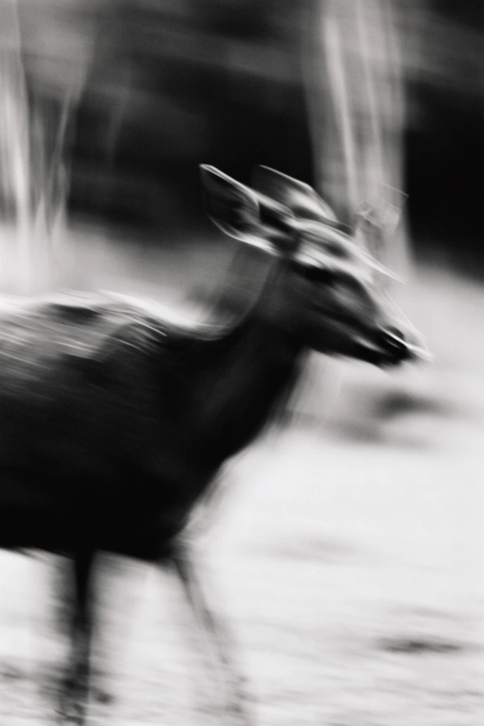Kinetic Spectral Monochrome style AI image example 3