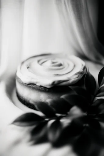 Experimental Noir Monochromes style reference image — noir cinematic style