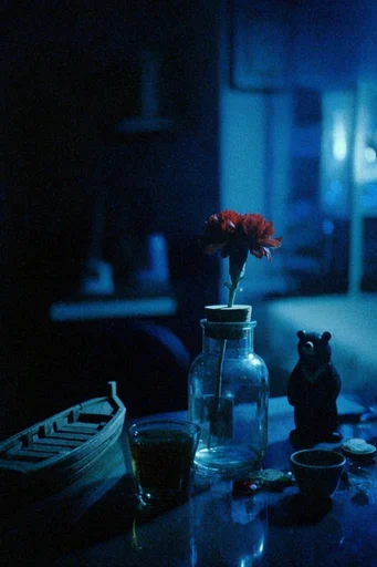 Nocturnal Cyanotype Melancholy style reference image — heavy film grain