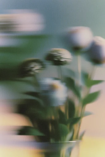 Ethereal Motion Impressionism style reference image — dreamlike soft focus