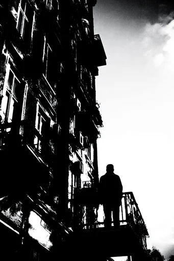 Gritty Monochromatic Noir style reference image — extreme high contrast