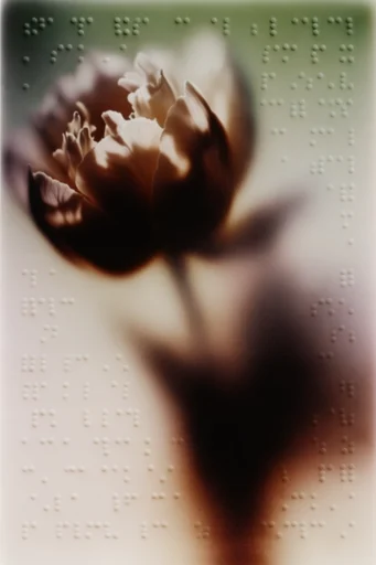 Tactile Ethereal Decay style reference image — muted organic decay