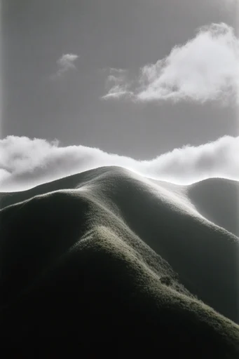Cinematic Monochrome Noir style reference image — high-contrast monochrome