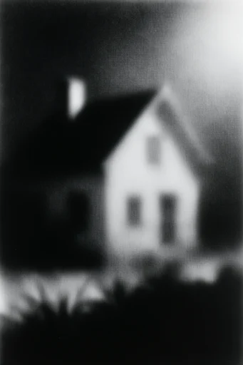 Ethereal Noir Grain style AI image example 4