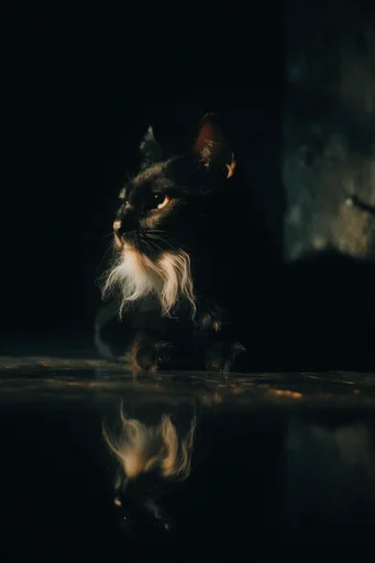 Cinematic Chiaroscuro Noir style AI image example 3