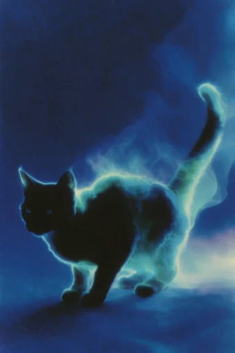 Luminous Nocturnal Ether style reference image — fluid organic motion