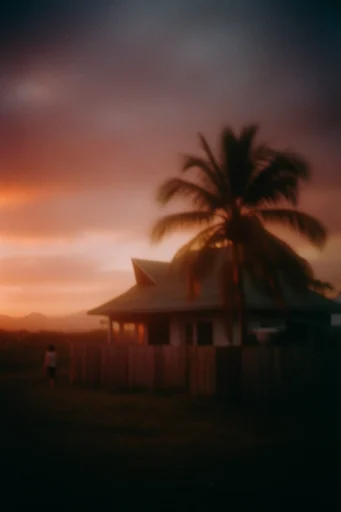 Atmospheric Analog Nostalgia style reference image — soft focus