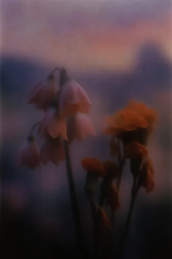 Ethereal Nostalgic Haze style reference image — painterly texture