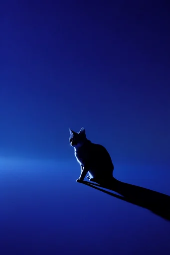 Nocturnal Ultramarine Minimalism style reference image — long sharp shadows