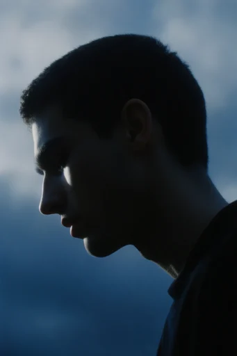 Cinematic Nocturnal Silhouette style reference image — cool-toned highlights