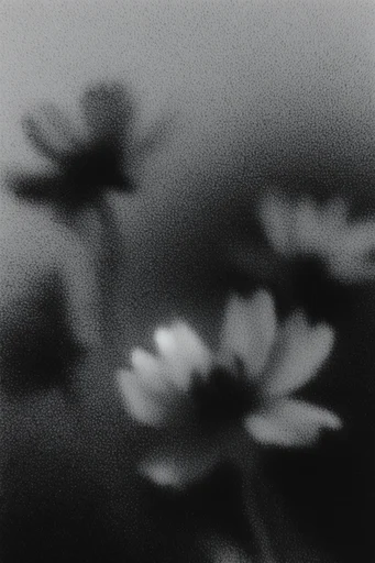 Ethereal Noir Grain style reference image — dreamlike haze
