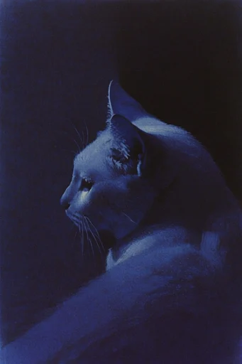 Ethereal Nocturnal Obscura style reference image — atmospheric haze