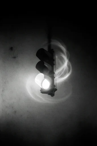Spectral Stippled Noir style reference image — analog film grain