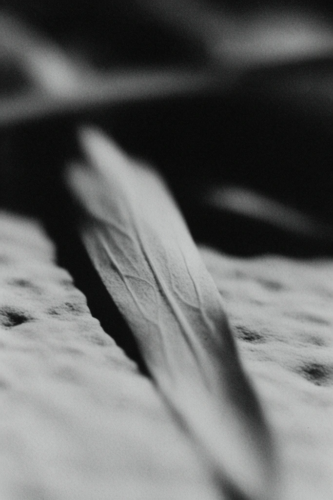 Visceral Monochromatic Noir style AI image example 2