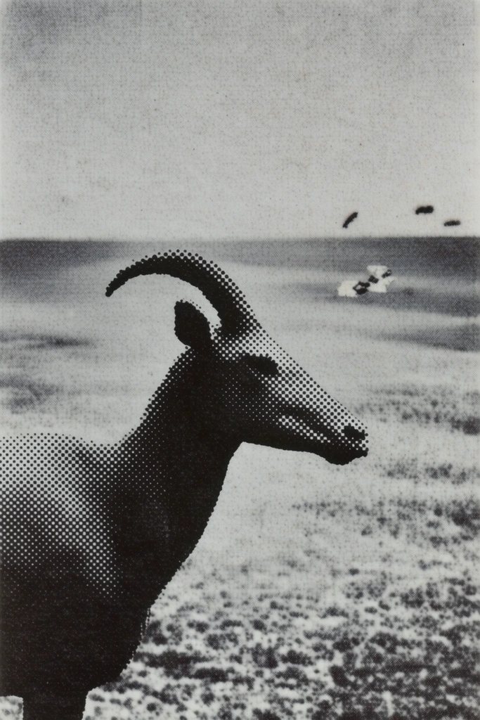 Textured Monochrome Surrealism style AI image example 3