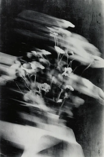 Gritty Glitch Noir style reference image — lo-fi experimental printmaking
