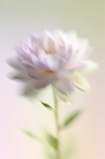 Luminous Ethereal Motion style reference image — dreamy infrared aesthetic