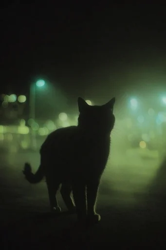Cinematic Acid Nocturne style reference image — atmospheric film grain