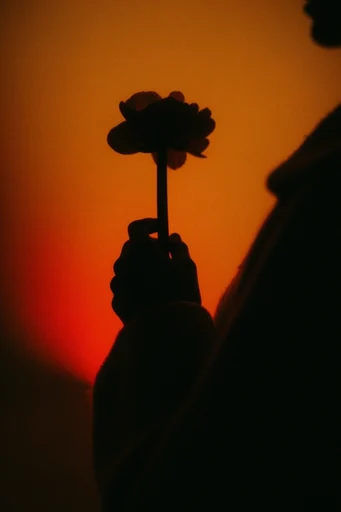Amber Noir Cinematic style reference image — graphic shadow play