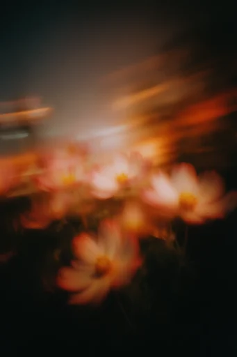 Kinetic Nocturnal Haze style reference image — lo-fi analog aesthetic