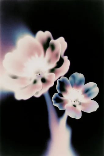 Spectral Luminescent Noir style reference image — smoky airbrush texture