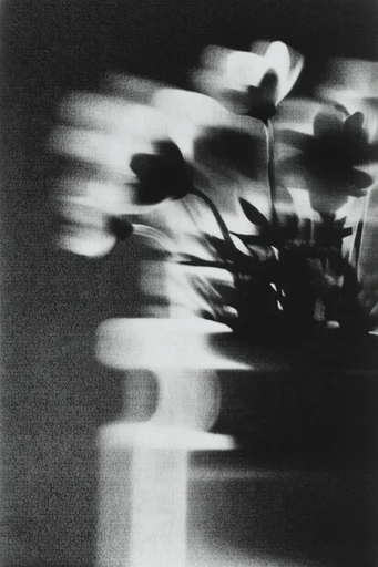 Kinetic Spectral Monochrome style reference image — chiaroscuro lighting