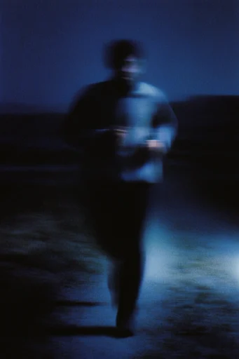 Cinematic Nocturnal Blur style reference image — nocturnal atmosphere
