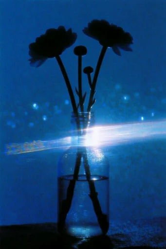 Nocturnal Bioluminescent Minimalism style reference image — surreal nocturnal atmosphere