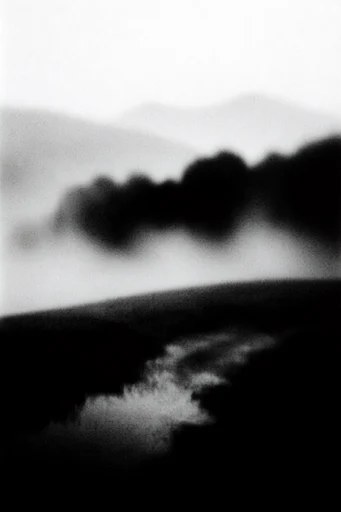 Atmospheric Monochromatic Noir style reference image — heavy film grain