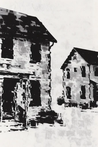 Monochrome Analog Disturbance style reference image — gritty film grain