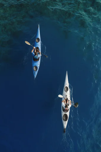 Aerial Oceanic Minimalism style reference image — minimalist graphic composition
