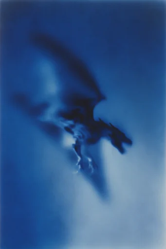 Monochromatic Ethereal Blur style reference image — heavy film grain