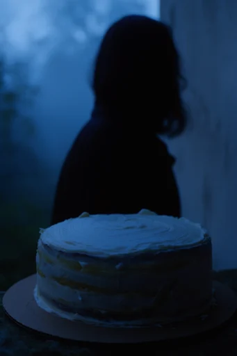Ethereal Nocturnal Silhouette style reference image — mysterious midnight blue