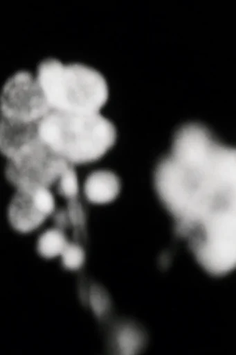 Ethereal Noir Abstraction style reference image — dreamlike silhouette