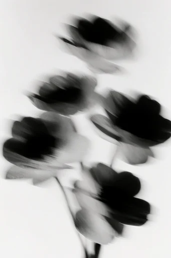 Kinetic Monochrome Minimalism style reference image — editorial fashion photography