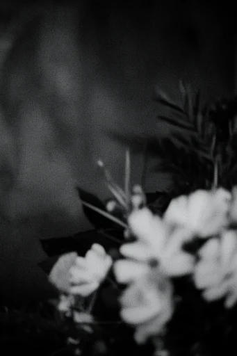 Submerged Noir Grain style reference image — motion blur