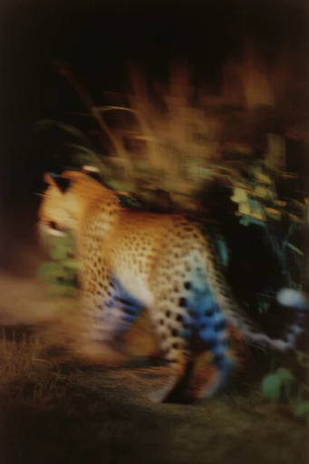 Cinematic Nocturnal Blur style AI image example 3