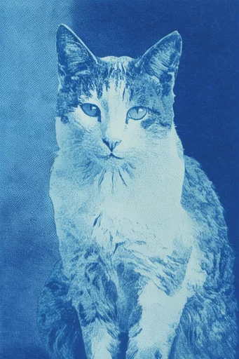 Atmospheric Print Modernism style reference image — vintage lithograph aesthetic