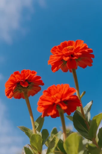 Vibrant Zenith Pop style reference image — vivid orange and electric pink
