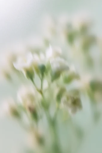 Ethereal Muted Haze style reference image — minimalist abstract composition