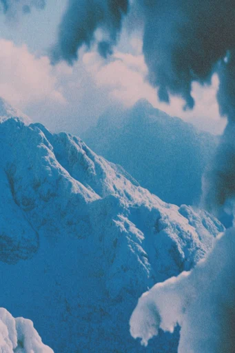 Nocturnal Cyanotype Dreamscape style reference image — Prussian blue monochrome