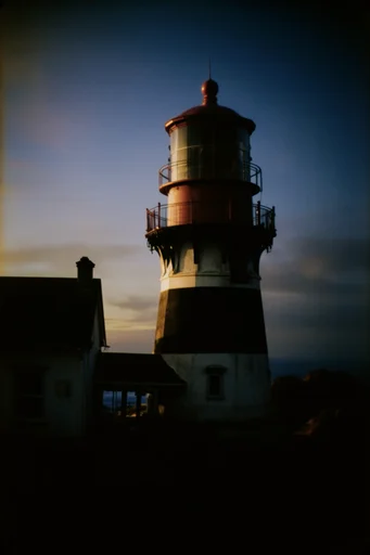 Cinematic Analog Noir style reference image — vintage lens flare