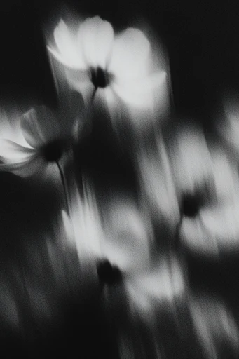Ethereal Grain Monochrome style reference image — analog noir texture