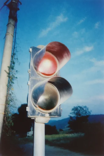Analog Surrealist Nostalgia style reference image — harsh direct flash
