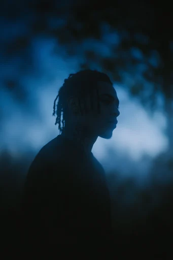 Ethereal Nocturnal Silhouette style reference image — cinematic high contrast