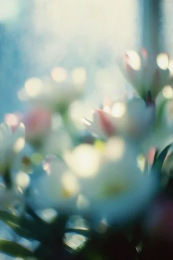 Ethereal Nocturnal Blur style reference image — cinematic low-light